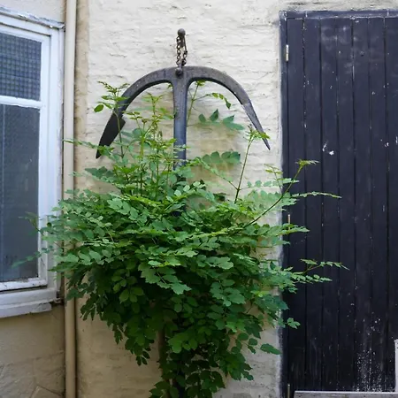 La Medievale, Au Coeur De La Vieille - N6 Appartement *